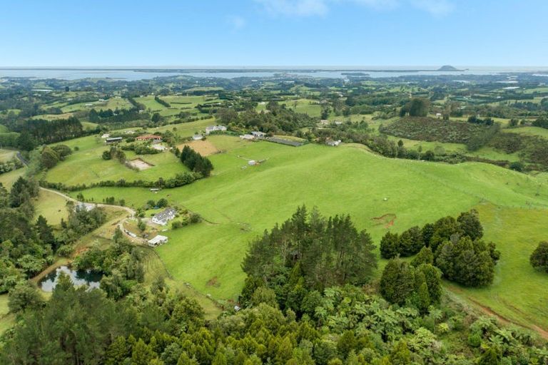 Photo of property in 181 Tim Road, Whakamarama, Tauranga, 3180
