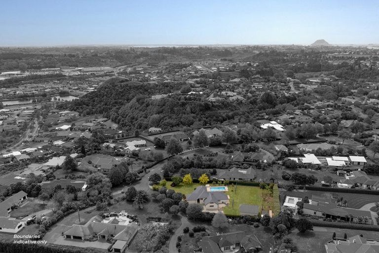 Photo of property in 111 Freeburn Road, Pyes Pa, Tauranga, 3112