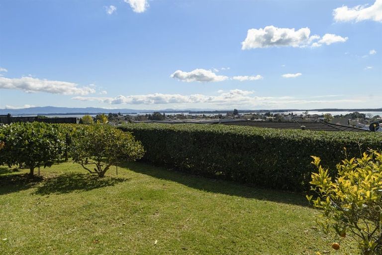 Photo of property in 10 Hazel Terrace, Otumoetai, Tauranga, 3110