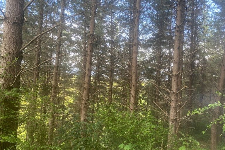 Photo of property in 924 Dovedale Road, Dovedale, Wakefield, 7096