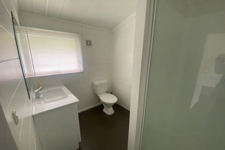 Photo of property in 13 Albert Street, Hamilton East, Hamilton, 3216