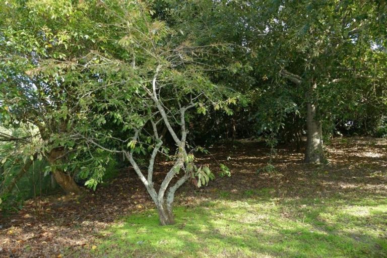 Photo of property in 46 Ranfurly Street, Dargaville, 0310