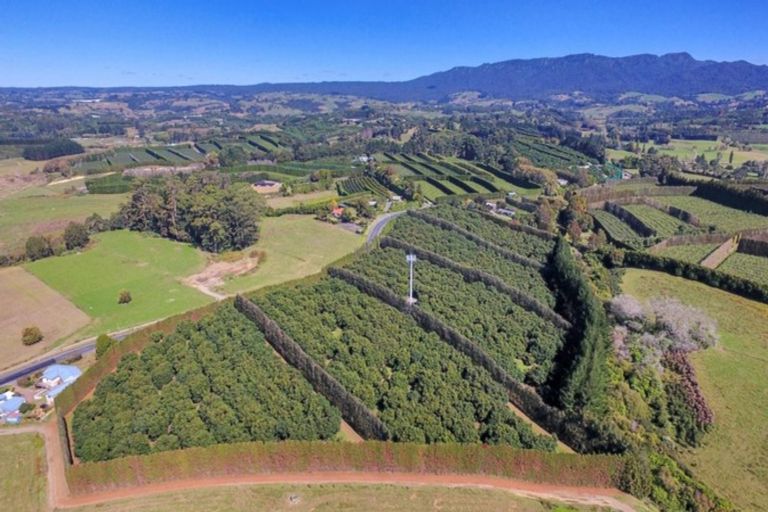 Photo of property in 50 Wright Road, Dairy Flat, Albany, 0794