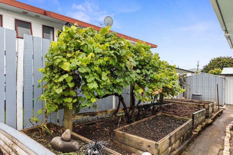 Photo of property in 62 Atuaroa Avenue, Te Puke, 3119