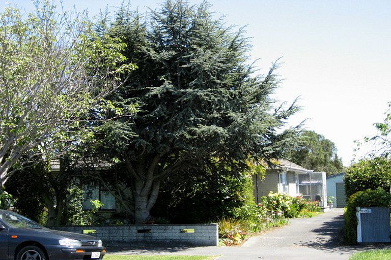 Photo of property in 249 Greers Road, Bryndwr, Christchurch, 8053