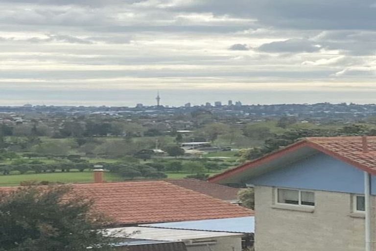 Photo of property in 117 Bradbury Road, Botany Downs, Auckland, 2010