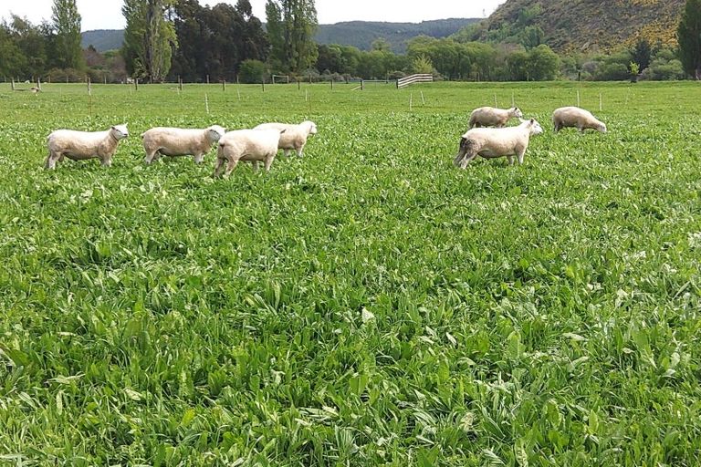 Photo of property in 19 Whiting Drive, Wakefield, 7025