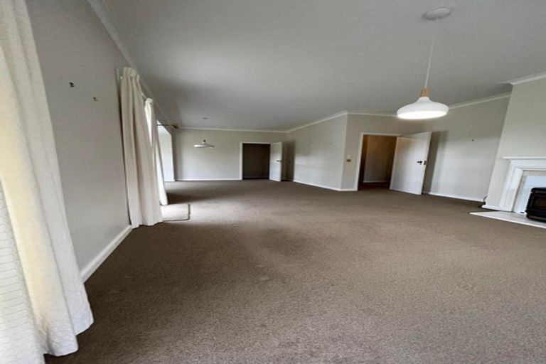 Photo of property in 13 Highgate Avenue, Merivale, Christchurch, 8014
