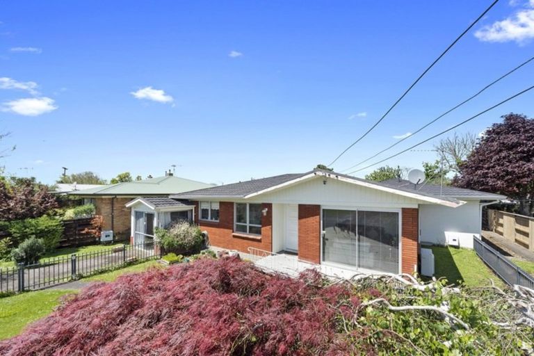Photo of property in 13 Howell Avenue, Riverlea, Hamilton, 3216