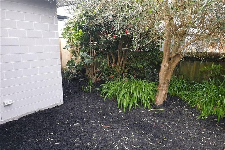 Photo of property in 3a Upper Kingsley Street, Leamington, Cambridge, 3432