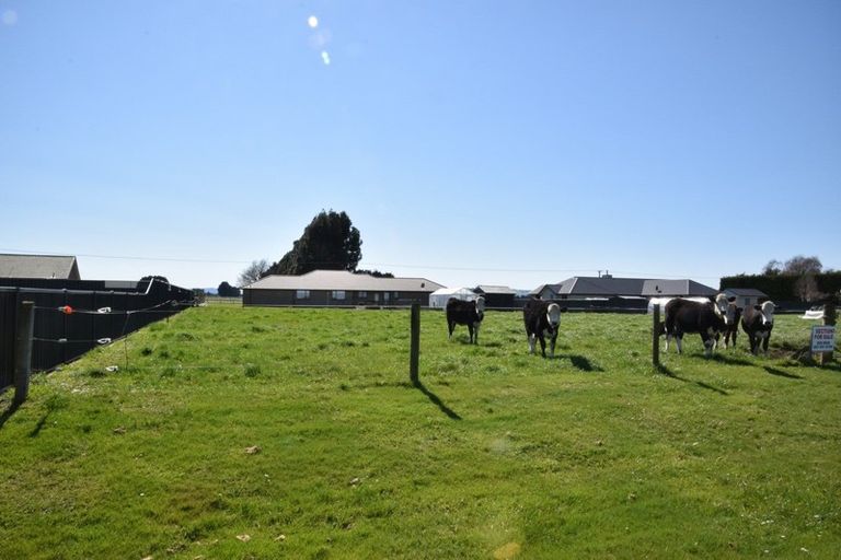 Photo of property in 8 Tui Place, Edendale, Wyndham, 9893