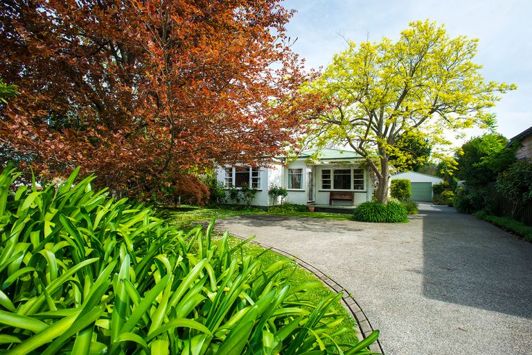 Photo of property in 59 Graham Road, Inner Kaiti, Gisborne, 4010