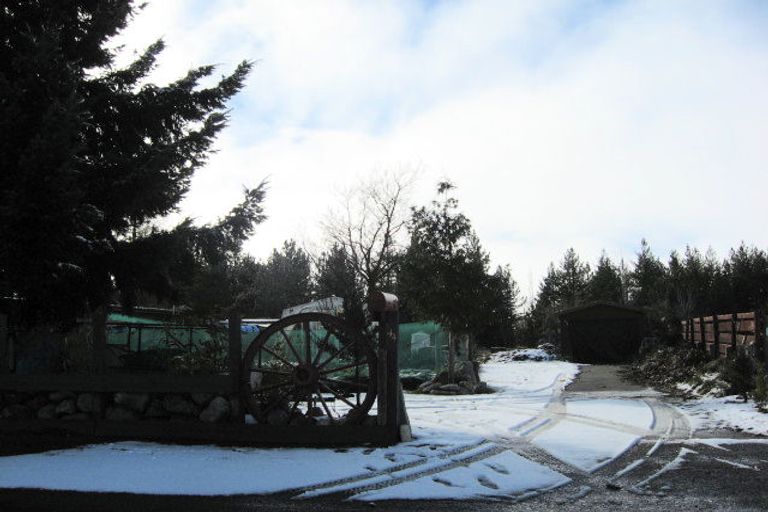 Photo of property in 44 Tekapo Drive, Twizel, 7901