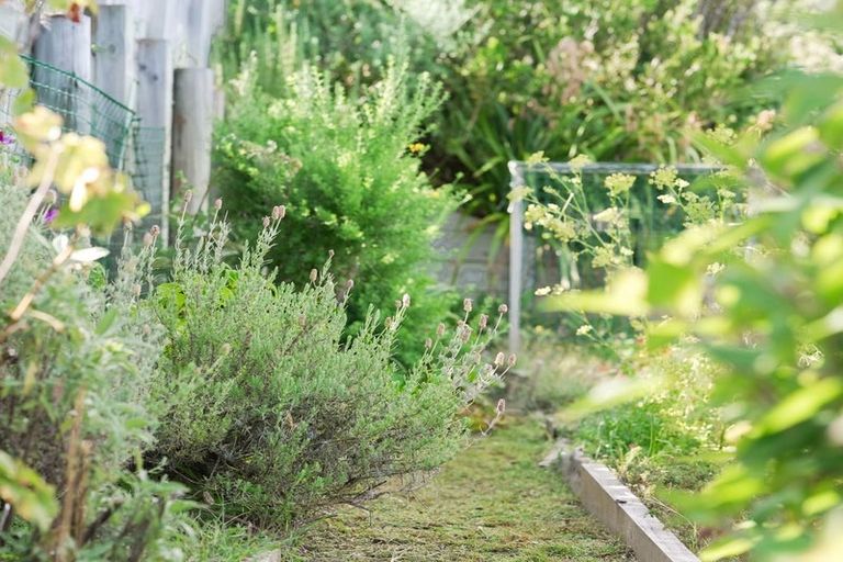 Photo of property in 79 Aorangi Road, Paraparaumu, 5032