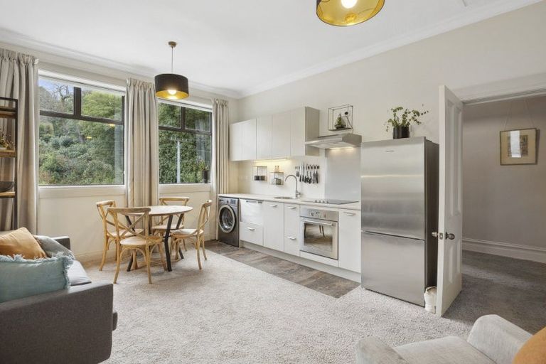 Photo of property in 41 Littlebourne Road, Roslyn, Dunedin, 9010