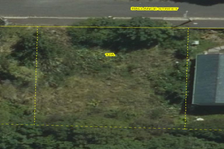 Photo of property in 12a Ballance Street, Caversham, Dunedin, 9011