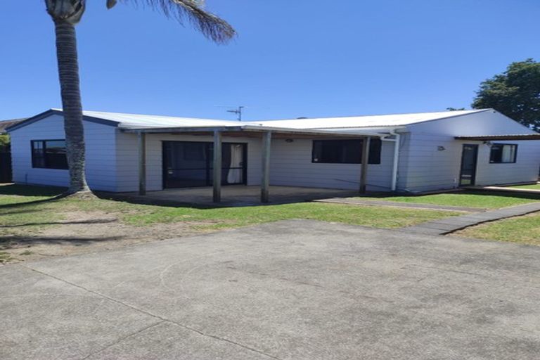 Photo of property in 60 Sheehan Avenue, Papakura, 2110