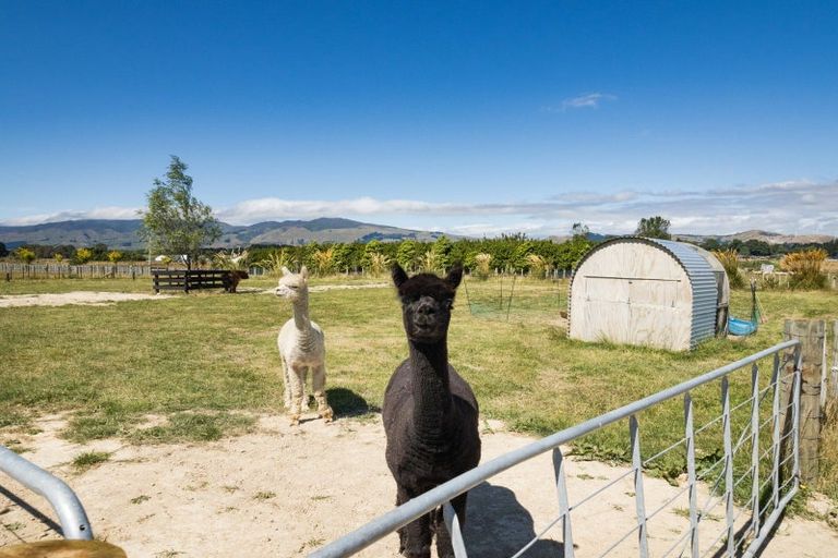 Photo of property in 20 Meavy Lane, Ashhurst, Palmerston North, 4470