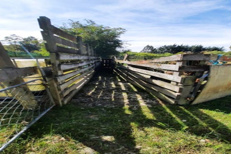 Photo of property in 746 Clutha River Road, Rongahere, Balclutha, 9274