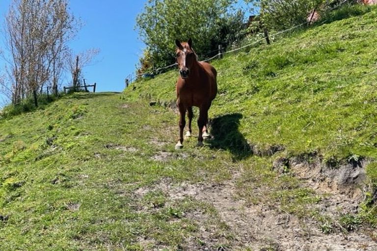 Photo of property in 72 Tirohanga Road, Tirohanga, Opotiki, 3197