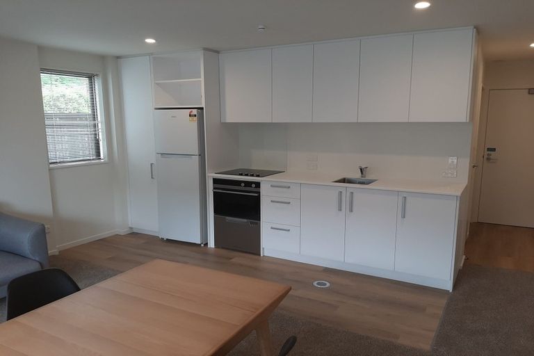 Photo of property in 118 Salisbury Street, Ashhurst, 4810