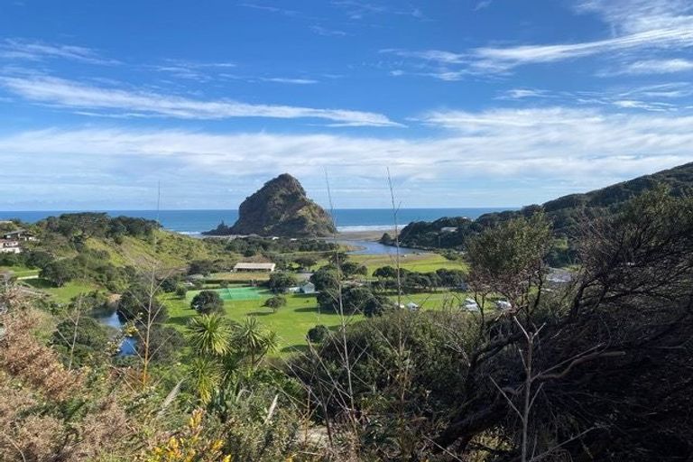 Photo of property in 52 Seaview Road, Piha, 0772