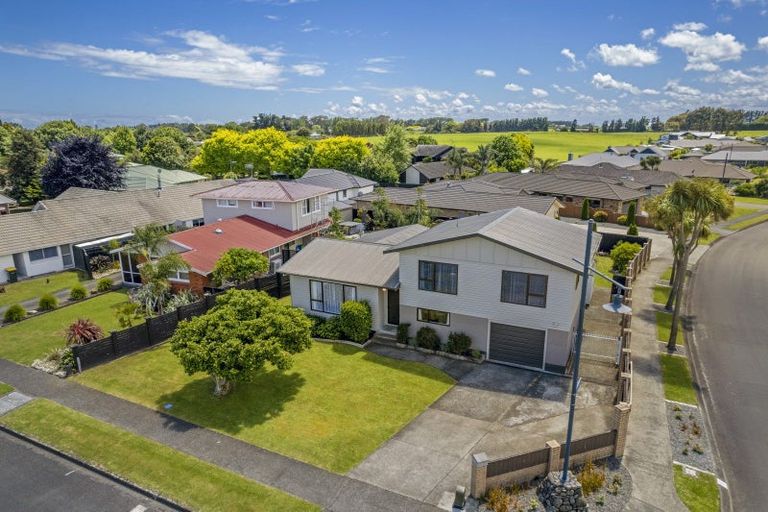 Photo of property in 41 Kennedy Drive, Levin, 5510