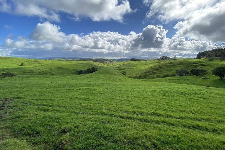 Photo of property in 259 Arapohue Road, Turiwiri, Dargaville, 0374
