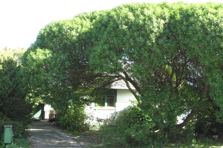 Photo of property in 17 North Road, The Wood, Nelson, 7010