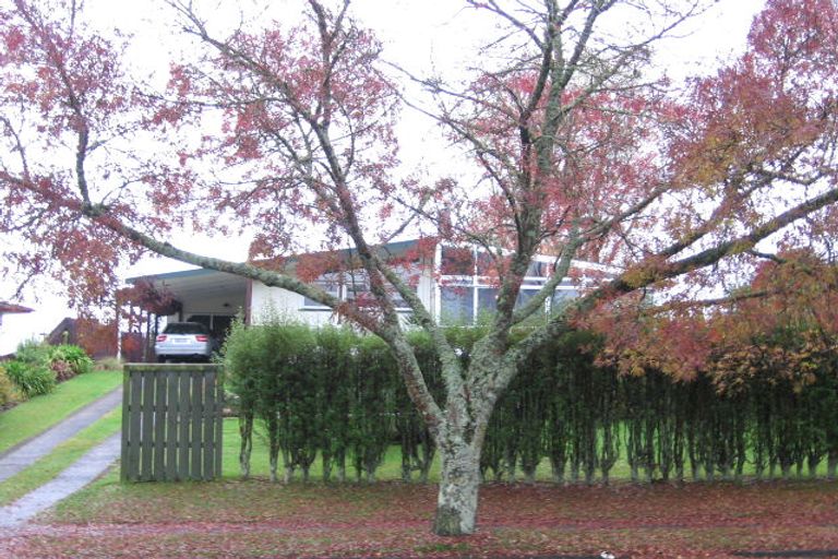 Photo of property in 108 Richmond Avenue, Tokoroa, 3420