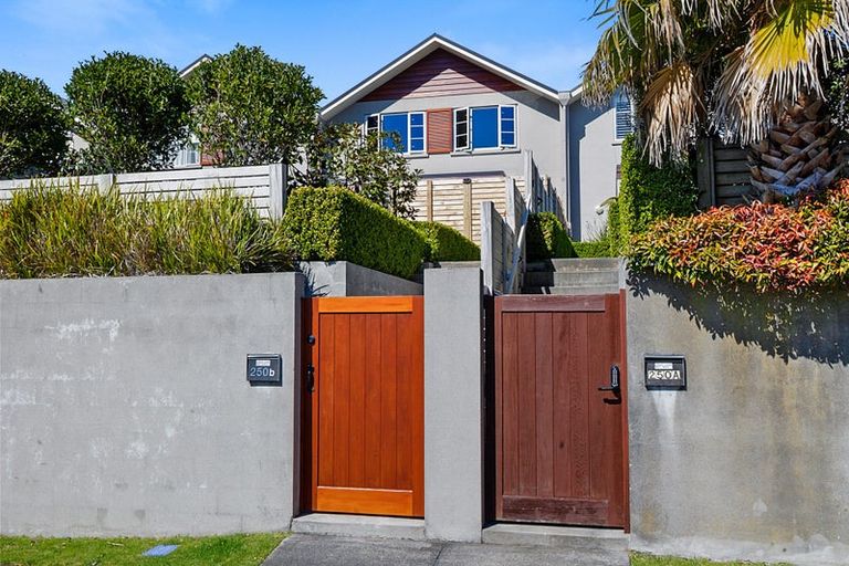 Photo of property in 250b Courtenay Street, Strandon, New Plymouth, 4312