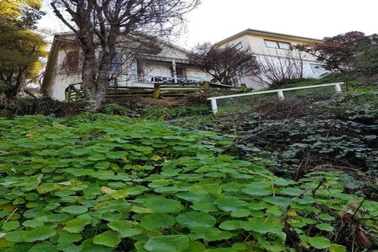 Photo of property in 13 Mortimer Terrace, Aro Valley, Wellington, 6021