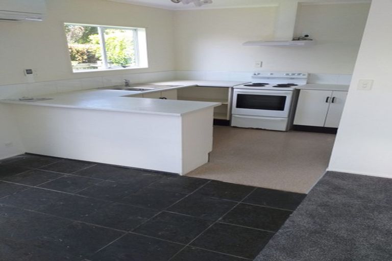 Photo of property in 43a Moa Road, Point Chevalier, Auckland, 1022