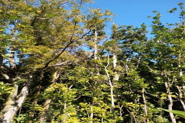 Photo of property in 21c Doralto Road, Frankleigh Park, New Plymouth, 4310