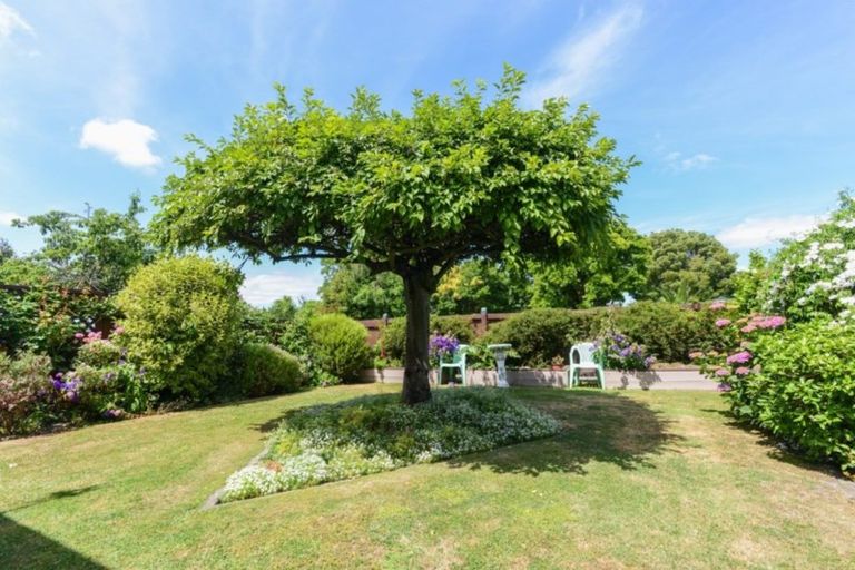 Photo of property in 705 Southampton Street West, Saint Leonards, Hastings, 4120