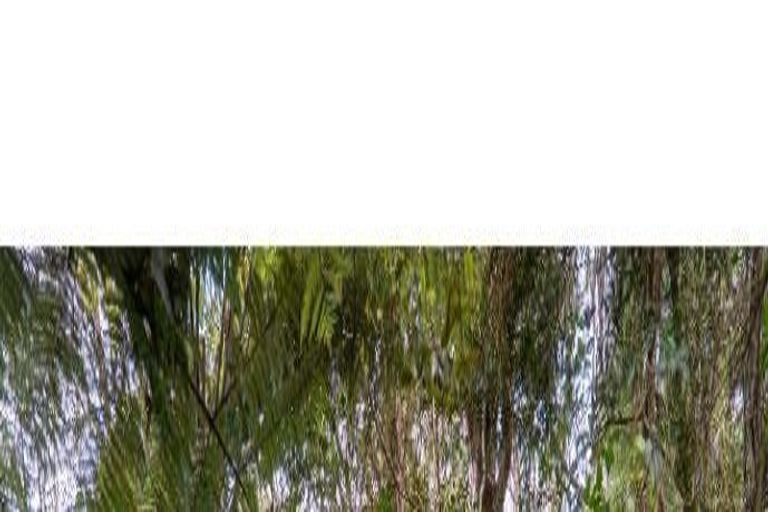 Photo of property in 190a Howard Road, Orere Point, Papakura, 2585