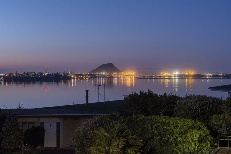 Photo of property in 39 Vine Avenue, Maungatapu, Tauranga, 3112