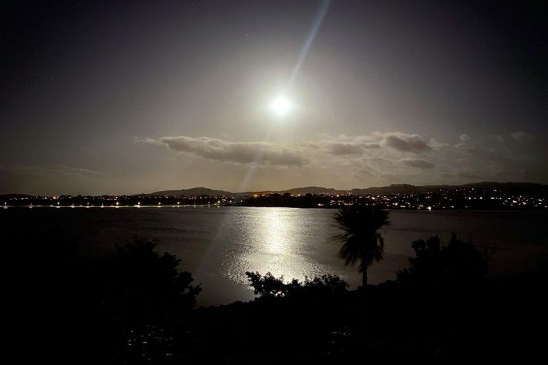 Photo of property in 49 Baycroft Avenue, Parkvale, Tauranga, 3112