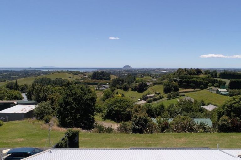 Photo of property in 229e Crawford Road, Minden, Tauranga, 3171
