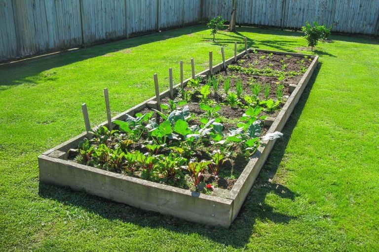 Photo of property in 6 Magnolia Drive, Matamata, 3400