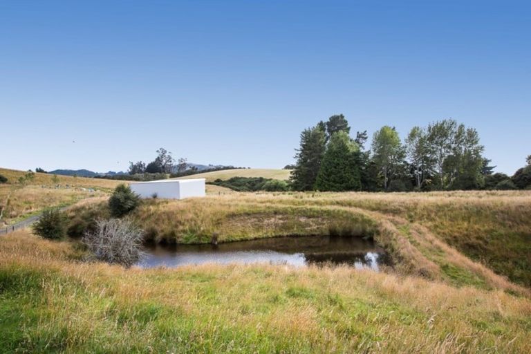 Photo of property in 4 Manse Road, Evansdale, Waitati, 9085