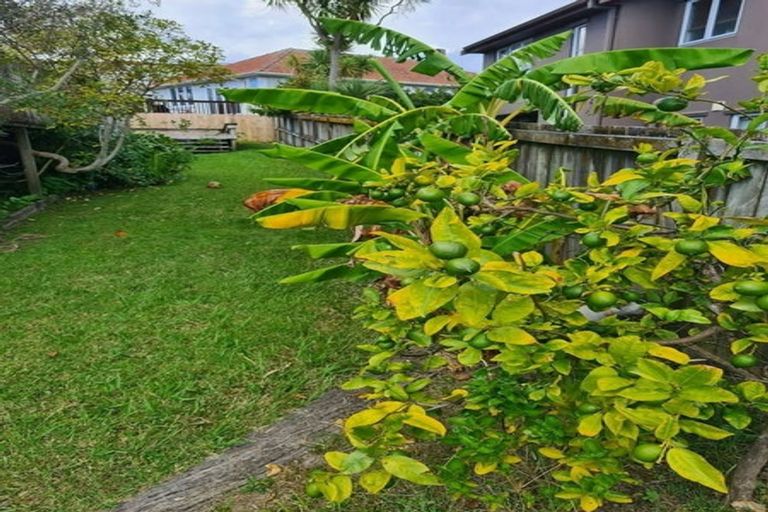 Photo of property in 17 Kawerau Avenue, Devonport, Auckland, 0624