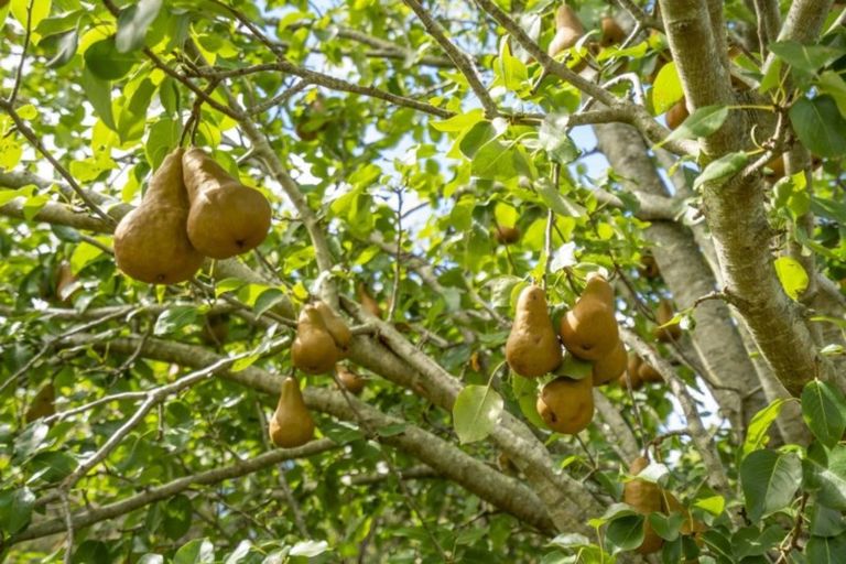 Photo of property in 366 Kaimarama Road, Kaimarama, Whitianga, 3591