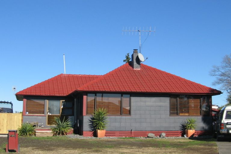 Photo of property in 730 Ngaio Street, Mahora, Hastings, 4120