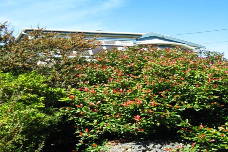 Photo of property in 11 Lucan Street, North East Valley, Dunedin, 9010