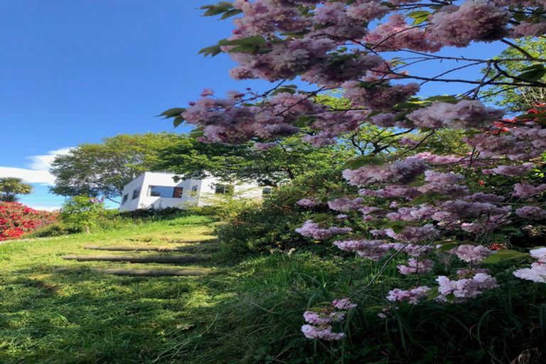 Photo of property in 44 Manchester Street, Bradford, Dunedin, 9011