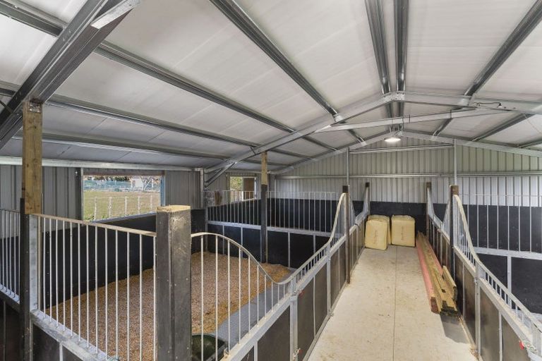 Photo of property in 180 North Manakau Road, Manakau, Levin, 5573