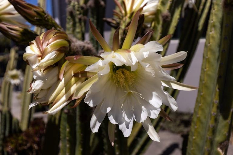 Photo of property in 3 Rose Manor Drive, Springlands, Blenheim, 7201