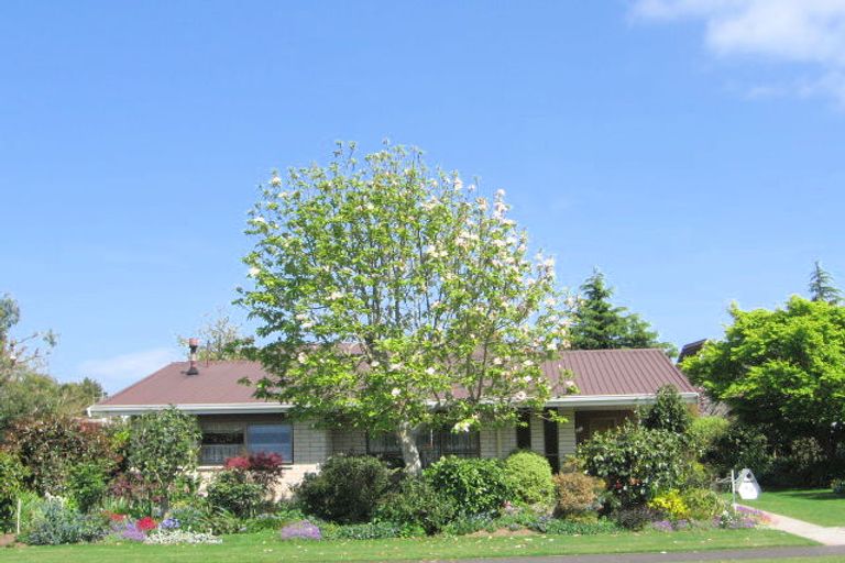 Photo of property in 30 Tawari Street, Matamata, 3400