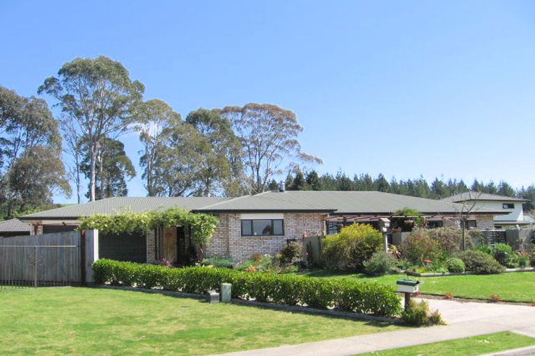 Photo of property in 29 Caulfield Place, Pukehangi, Rotorua, 3015